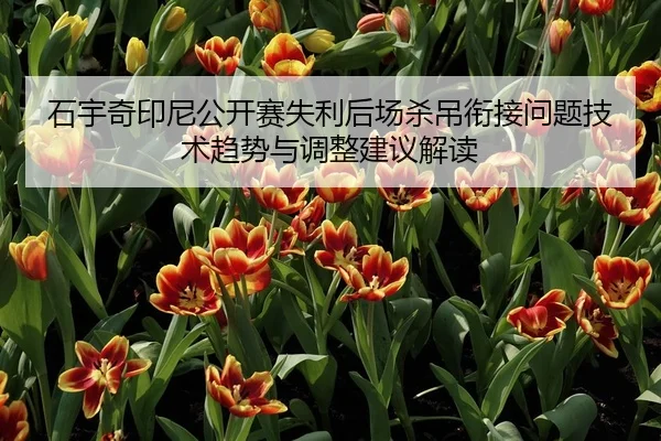 shi-yu-qi-yin-ni-gong-kai-sai-shi-li-hou-chang-sha-diao-xian-jie-wen-ti-ji-shu-qu-shi-yu-tiao-zheng-jian-yi-jie-du-1-121.jpg